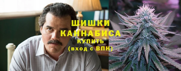 ешки Алексин