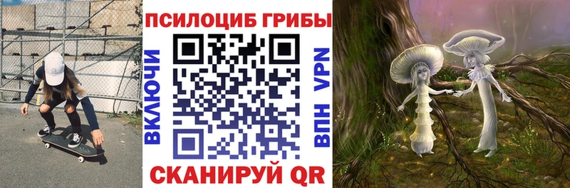 закладка  Североуральск  Галлюциногенные грибы мицелий 