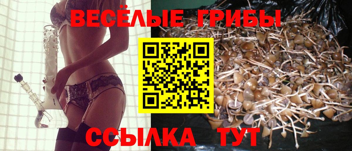 Североуральск  Псилоцибиновые грибы мицелий  Вход с VPN 