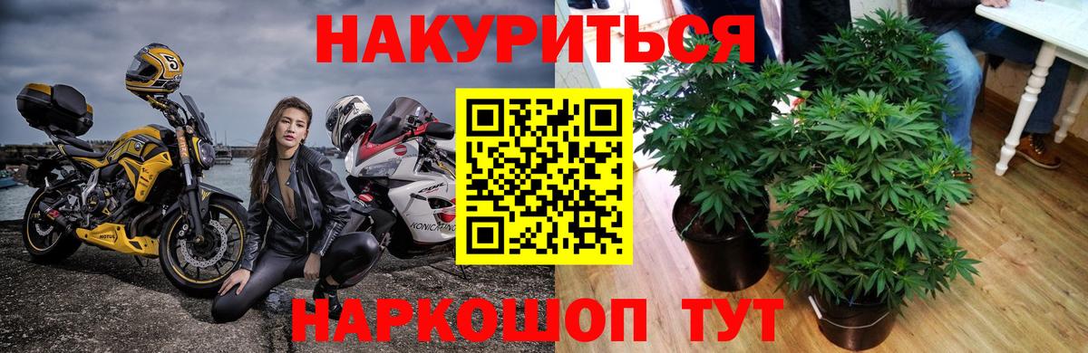 Меф МЯУ МЯУ   Североуральск  Каннабис  ЭКСТАЗИ  LSD-25  Кокаин  Вход с VPN  ГАШ 